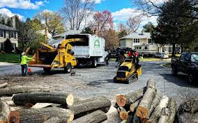 Best Emergency Tree Removal  in Sewaren, NJ